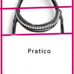 Pratico
